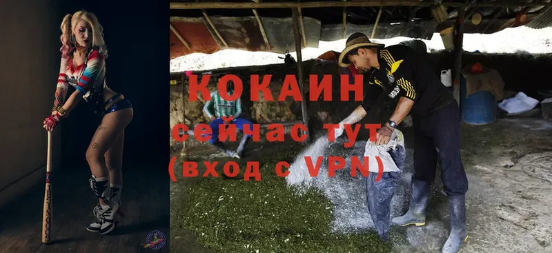 Кокаин VHQ Болотное